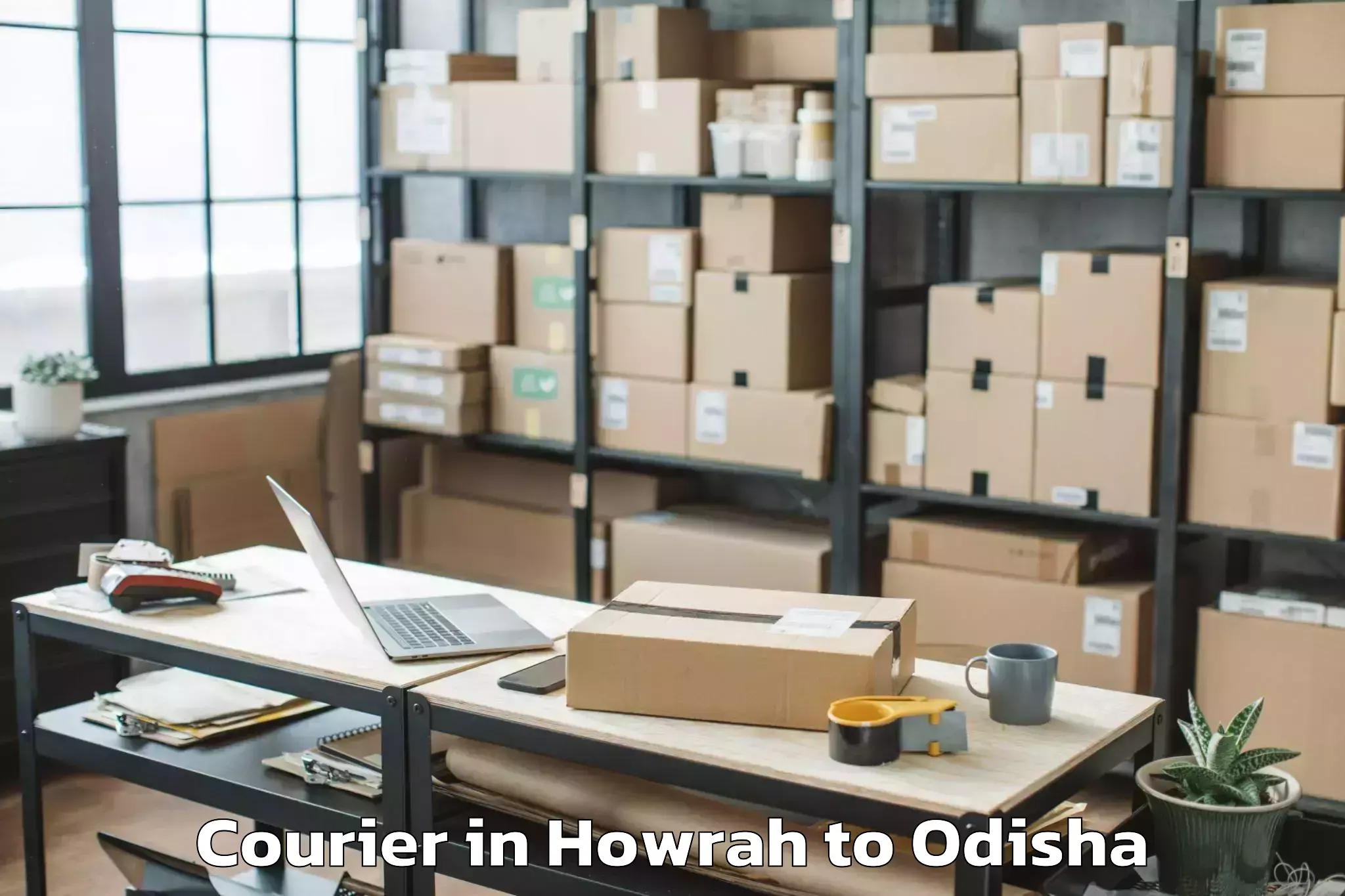 Professional Howrah to Tikabali Courier